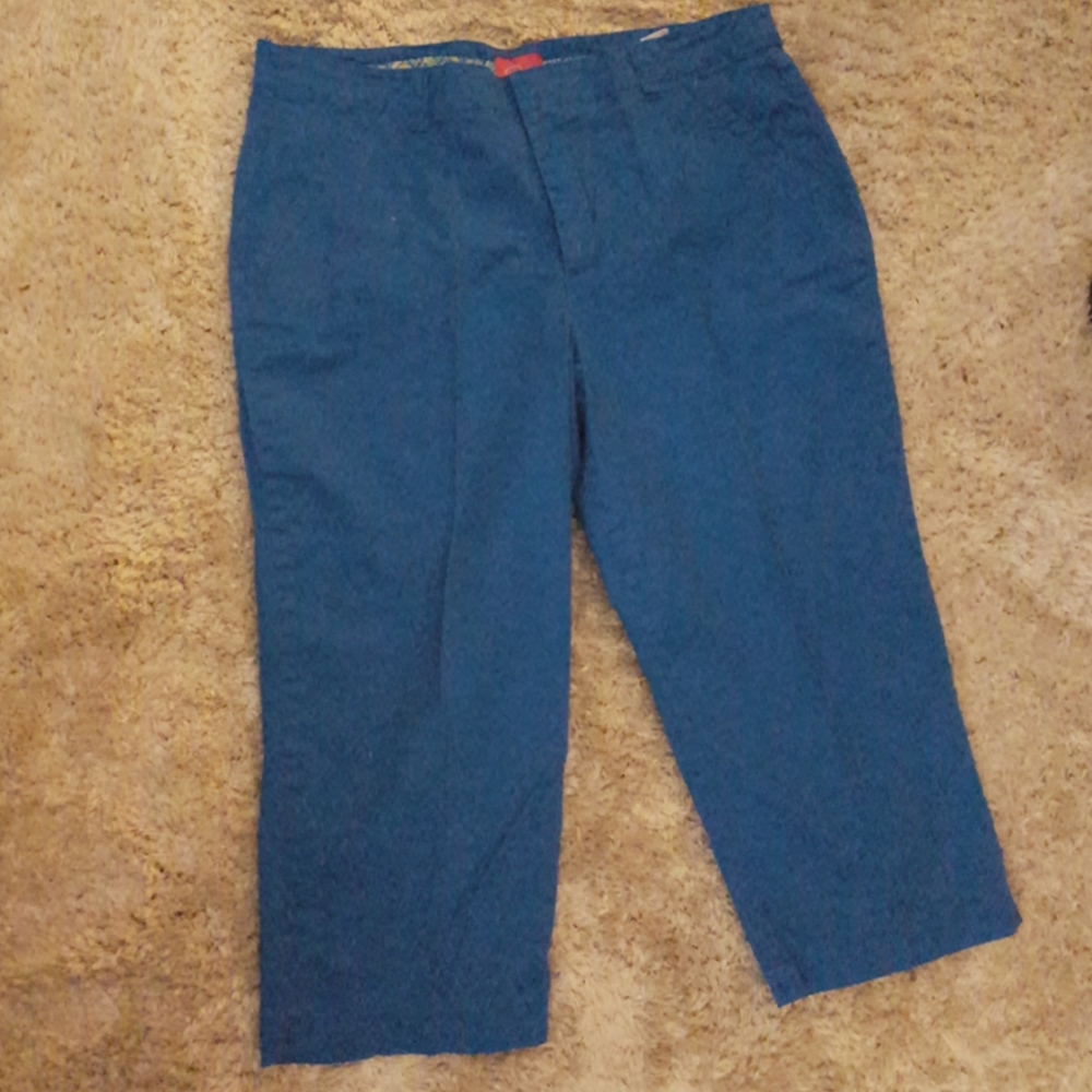 Pappagallo bright blue stretch crop Capri pants pickets belt loops size 16 EUC…